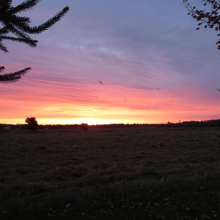 Sunbury Cove Winery Bed and Breakfast Miscouche Buitenkant foto